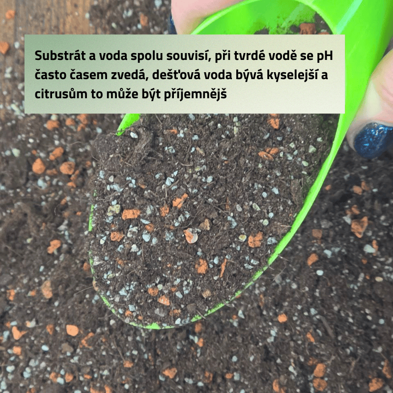 Mix č. 7 Pro Citrusy 1L